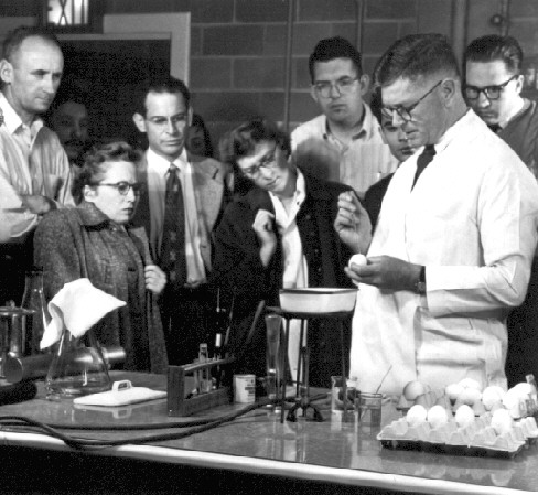 Immunologist - Sir Macfarlane Burnet demonstrating his egg innoculation technique at the University of Wisconsin, 1952