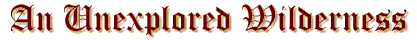 An Unexplored Wilderness