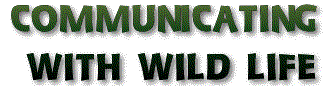 Communicating with Wild Life