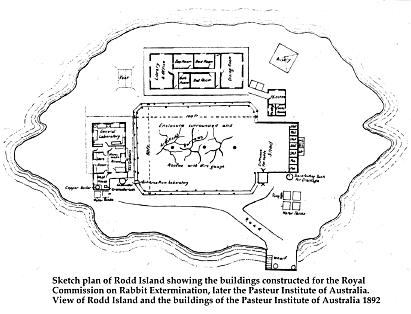 Map of Rodd Island